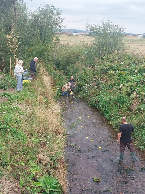 duck race 1